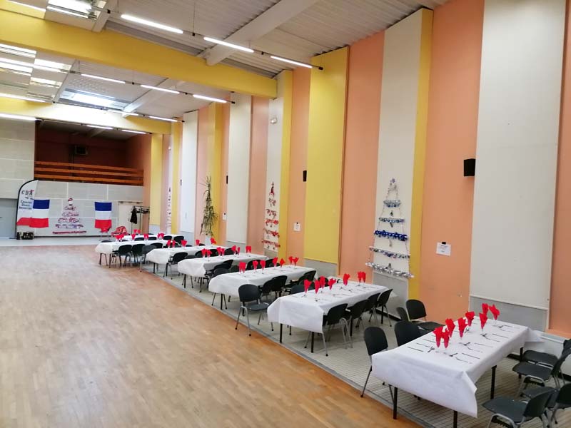 SAPINS 1