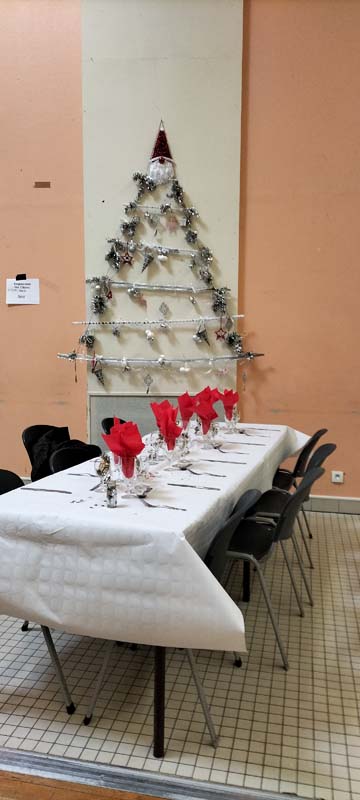SAPINS 17
