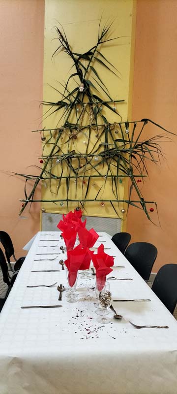 SAPINS 20
