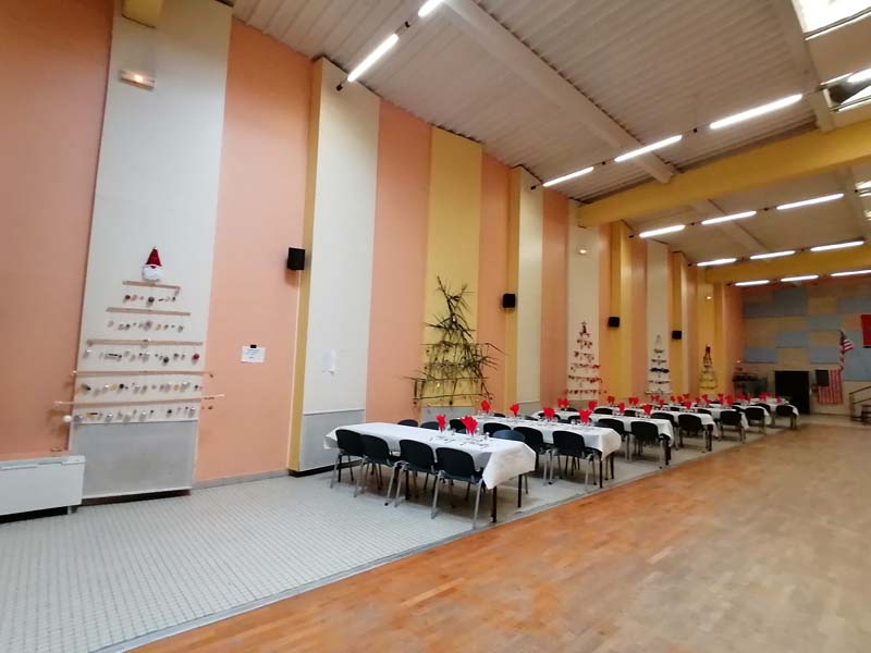 SAPINS 4