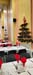 SAPINS 16