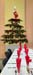 SAPINS 19