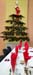 SAPINS 25