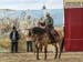festival country 2009 349